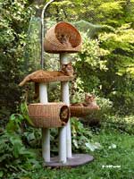 arbre a chat
