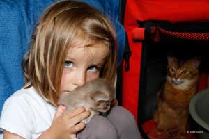 Clémentine avec chaton lilas de 3 semaines