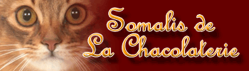 Still banner for La Chacolaterie
