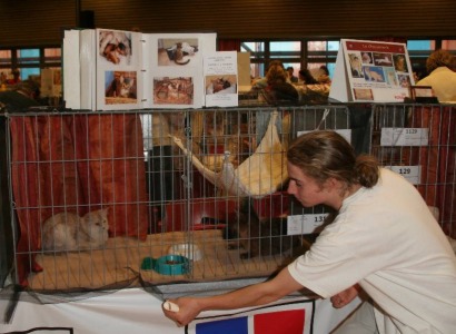 installation d'une cage d'expo