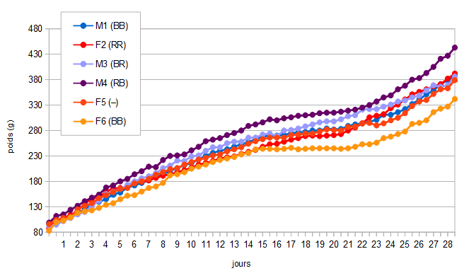 courbe de poids des premiers jours