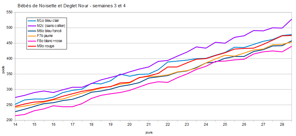 Courbe de poids semaines 3 et 4