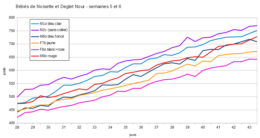 weight diagram weeks 5 and 6