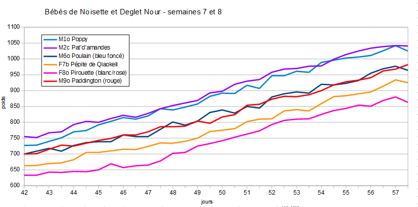 courbe de poids sem 7 8