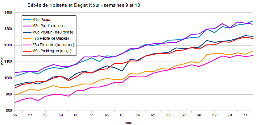 courbe de poids semaines 9 et 10