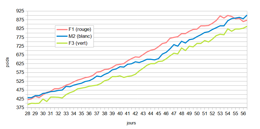 weight curve week 5 to 8