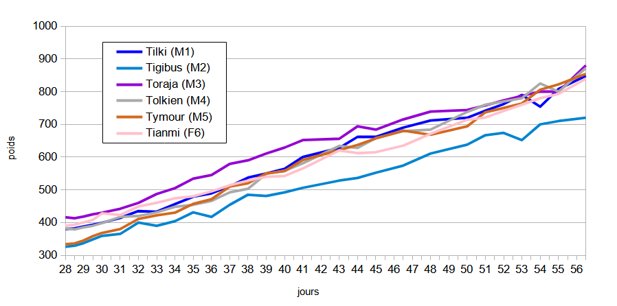 weight curve weeks 5 to 8