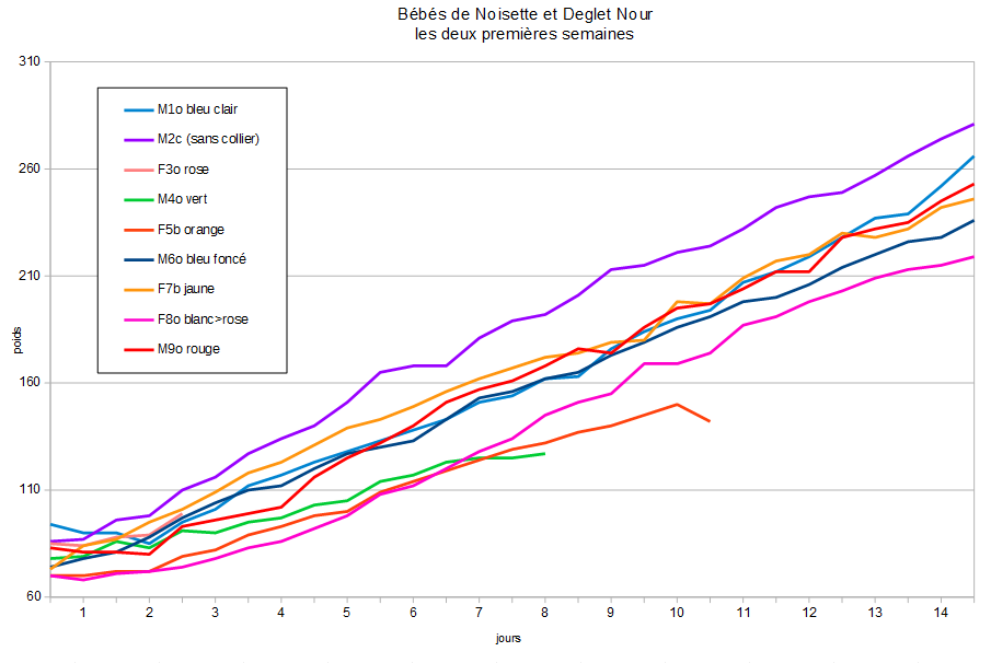 Courbe de poids semaines 1 et 2